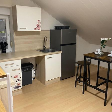Deluxe Business Suite Mit Netflix Premium & Parkplatz, Zentral Zu Audi & Schwarz Gruppe With 2 Bedrooms Бад-Фрідріхсхалль Екстер'єр фото